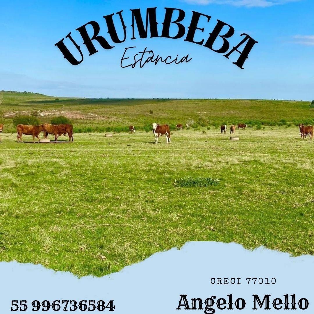 Fazenda, 302ha, à venda - Angelo Mello - Corretor de Imóveis