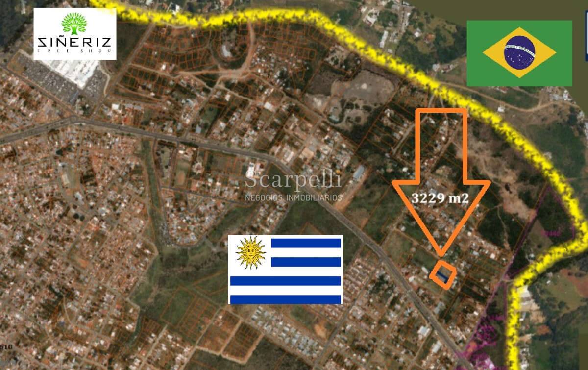 Terreno à venda, 3540m² - Angelo Mello - Corretor de Imóveis